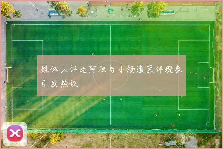 媒体人评论阿联与小杨遭黑评现象引发热议