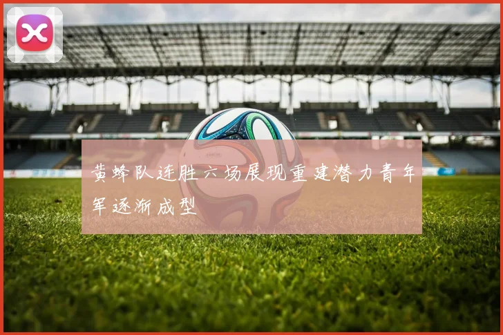 黄蜂队连胜六场展现重建潜力青年军逐渐成型